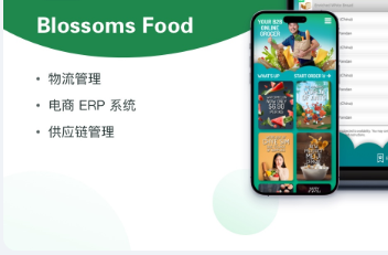 分销系统软件开发代理系统定制库存物流管理跨境电商